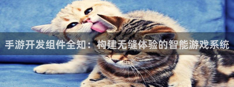 安信15娱乐