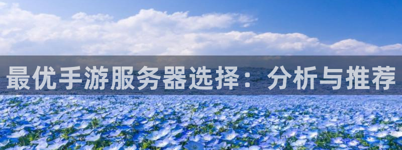 安信2娱乐：最优手游服务器选择：分析与推荐