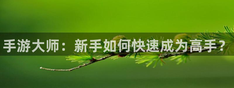 安信娱乐登入地址：手游大师：新手如何快速成为高手？