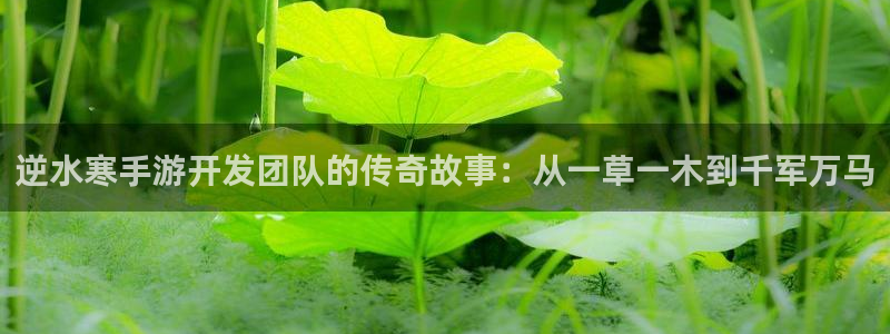 安信娱乐2：逆水寒手游开发团队的传奇故事：从一草一木到千军万