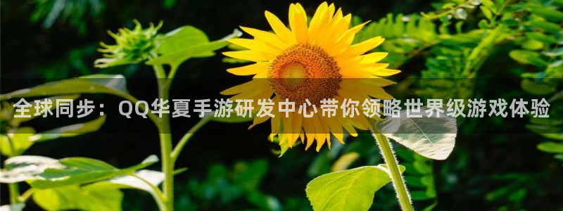 安信娱乐下载：全球同步：QQ华夏手游研发中心带你领略世界级游