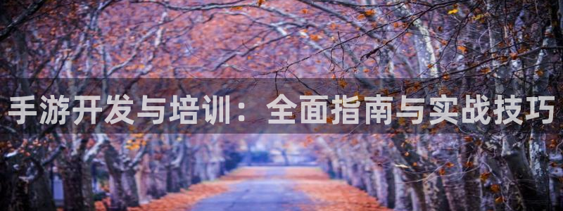 安信13娱乐：手游开发与培训：全面指南与实战技巧