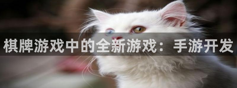 安信14娱乐注册：棋牌游戏中的全新游戏：手游开发