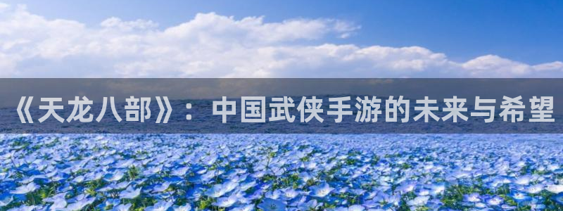 安信娱乐怎么注册：《天龙八部》：中国武侠手游的未来与希望