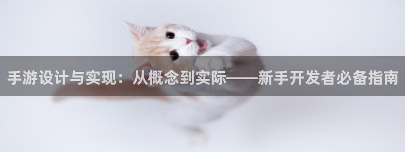 安信12娱乐注册：手游设计与实现：从概念到实际——新手开发者