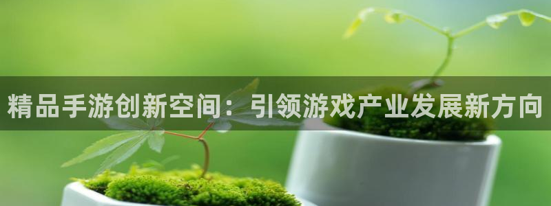 安信12娱乐：精品手游创新空间：引领游戏产业发展新方向
