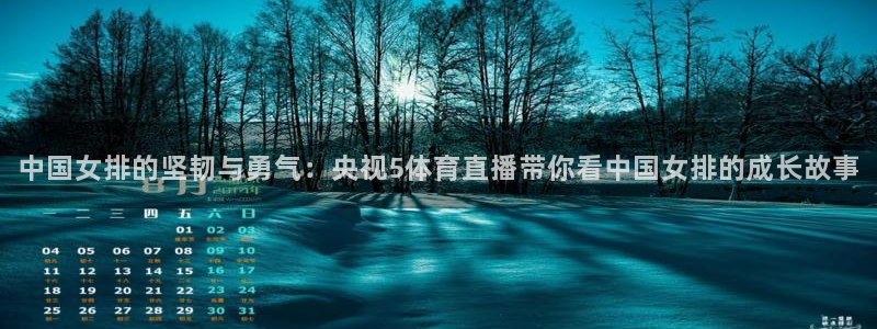 833篮球直播比赛在线观看：中国女排的坚韧与勇气：央视5体育直播带你看中国女排的成长故事