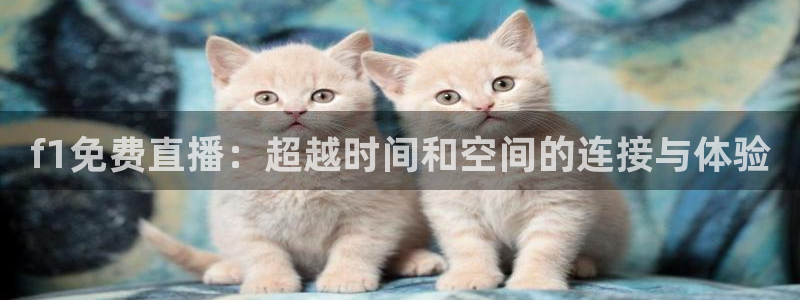 833直播足球：f1免费直播：超越时间和空间的连接与体验