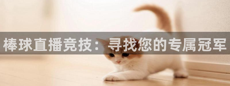 833体育赛事免费直播：棒球直播竞技：寻找您的专属冠军