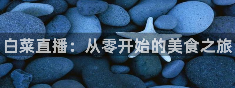 3833tv直播：白菜直播：从零开始的美食之旅