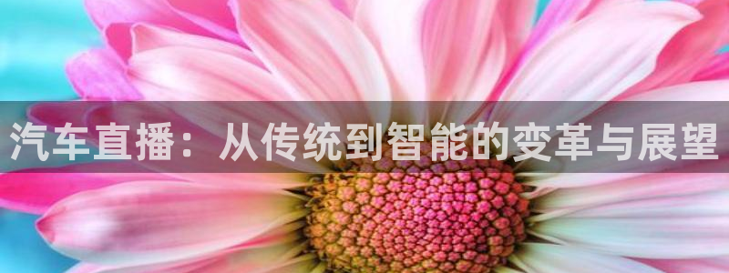 3833tv直播nba：汽车直播：从传统到智能的变革与展望