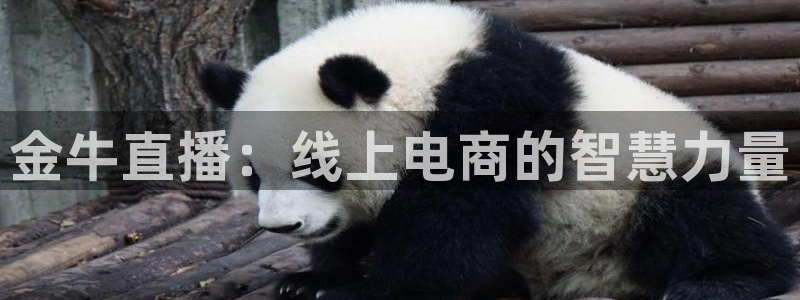 833体育免费直播平台：金牛直播：线上电商的智慧力量