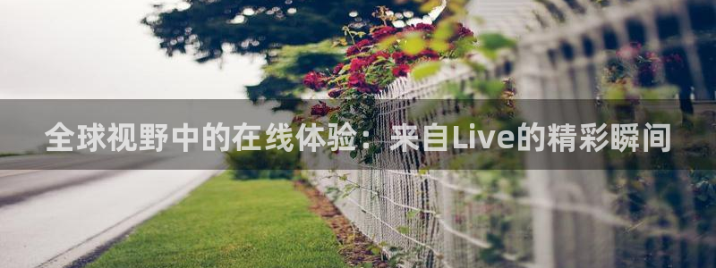 833足球比赛直播免费观看：全球视野中的在线体验：来自Live的精彩瞬间