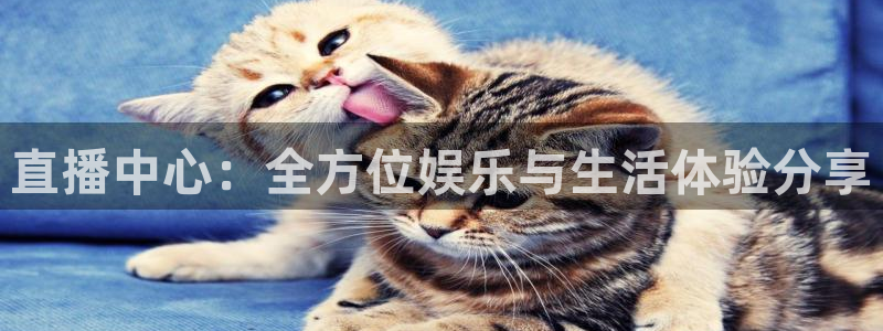 球帝833直播：直播中心：全方位娱乐与生活体验分享