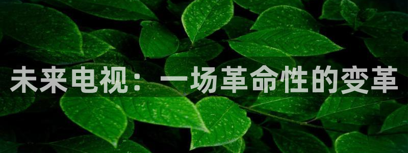 833体育赛事免费直播：未来电视：一场革命性的变革