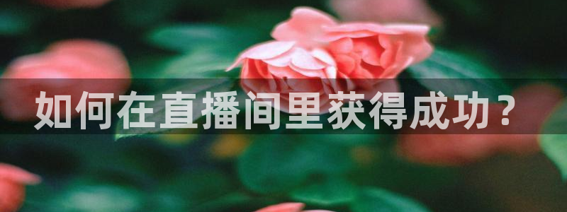 833足球比赛直播免费观看：如何在直播间里获得成功？